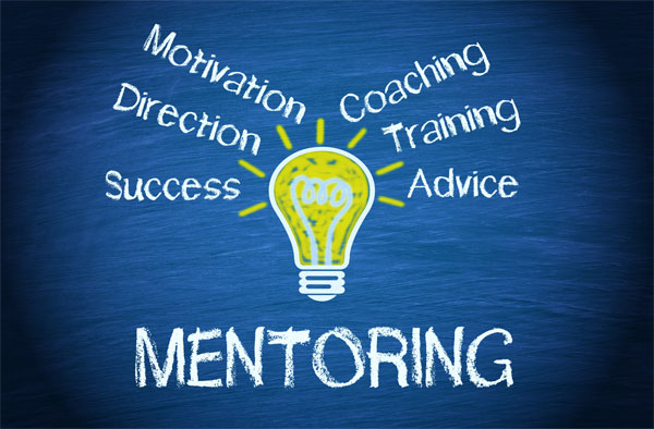 What makes up mentoring diagram