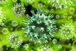 Corona Virus