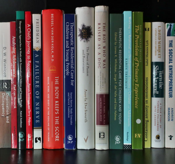 Row of books