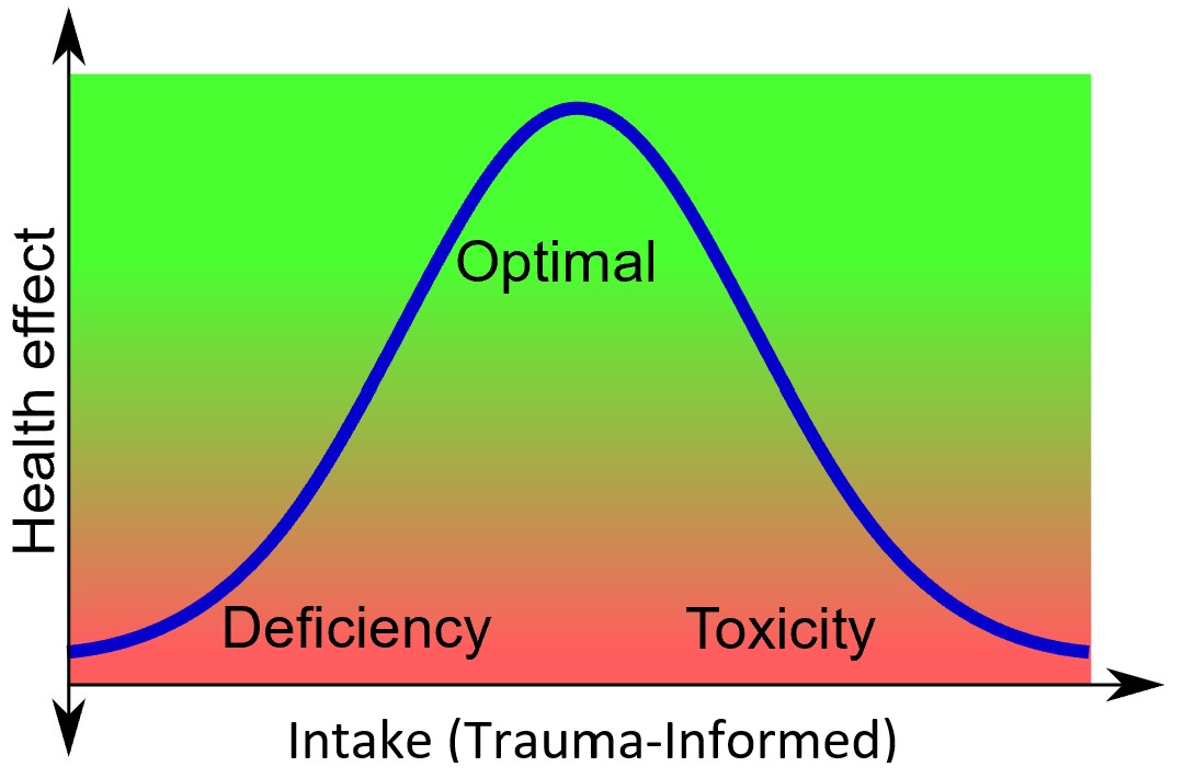 A REFLECTION ON TRAUMA, TRAUMATIZATION, TRAUMA-INFORMED, AND RECOVERY ...