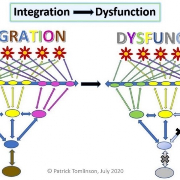 ORGANIZATION INTEGRATION, DISINTEGRATION, AND RECOVERY - PATRICK TOMLINSON (2020)