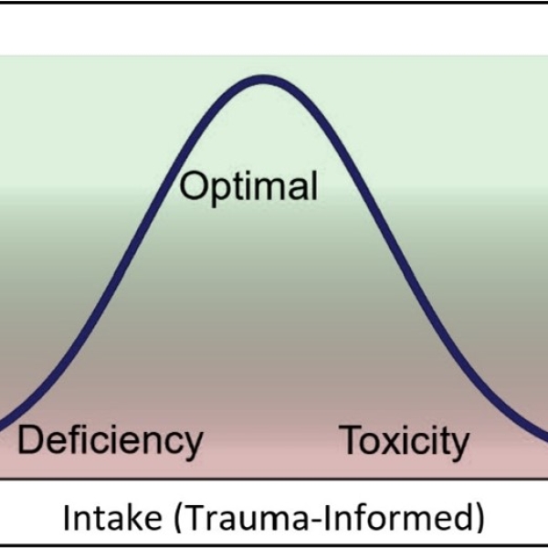 A REFLECTION ON TRAUMA, TRAUMATIZATION, TRAUMA-INFORMED, AND RECOVERY - PATRICK TOMLINSON (2023)