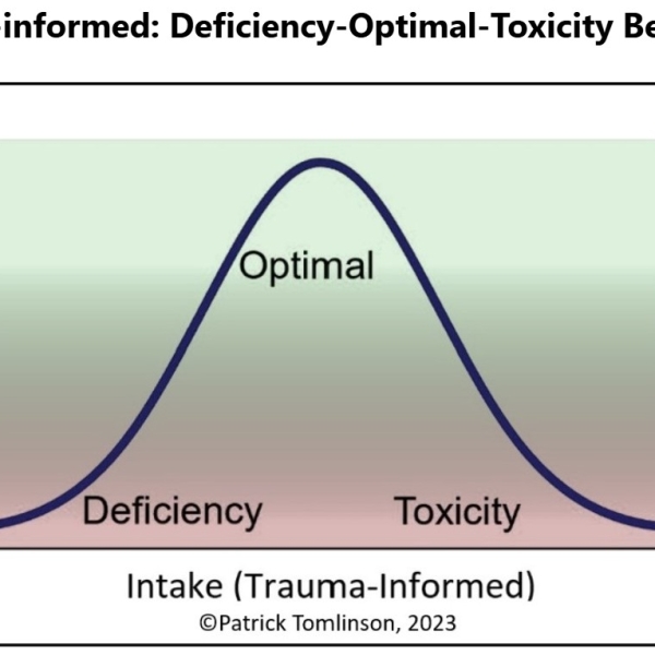 A REFLECTION ON DEVELOPMENTAL TRAUMA AND TRAUMATIZATION: TRAUMA-INFORMED AND TRAUMA RECOVERY - BY PATRICK TOMLINSON  (2023, Revised 2026)
