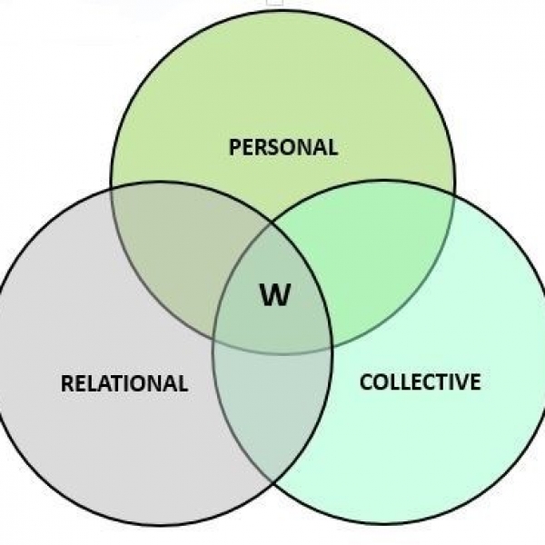 WHY INTEGRATION AND CONNECTION ARE SO IMPORTANT IN DEVELOPMENT, WELL-BEING, AND THE HEALING OF TRAUMA – PATRICK TOMLINSON (2018)